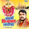 About Aili Vindhyachal Nagariya Song